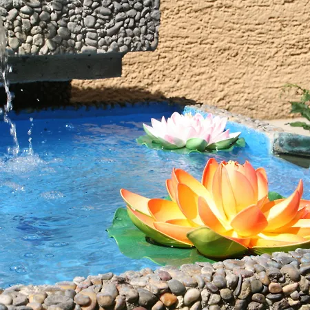 부루넨호프 시티 센터 호텔 3*