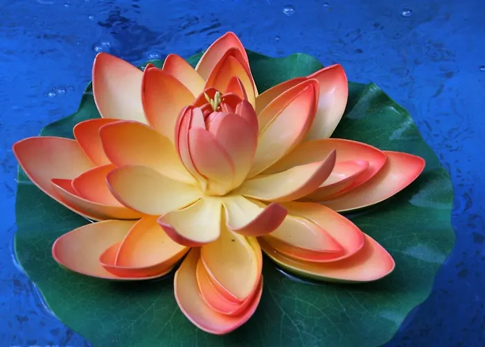 بروننهوف مركز المدينة 3* ميونيخ