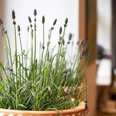 Brunnenhof Center 3* Monachium